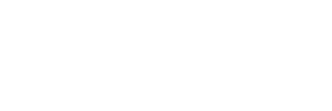 Piwi-Web IT Oplossingen